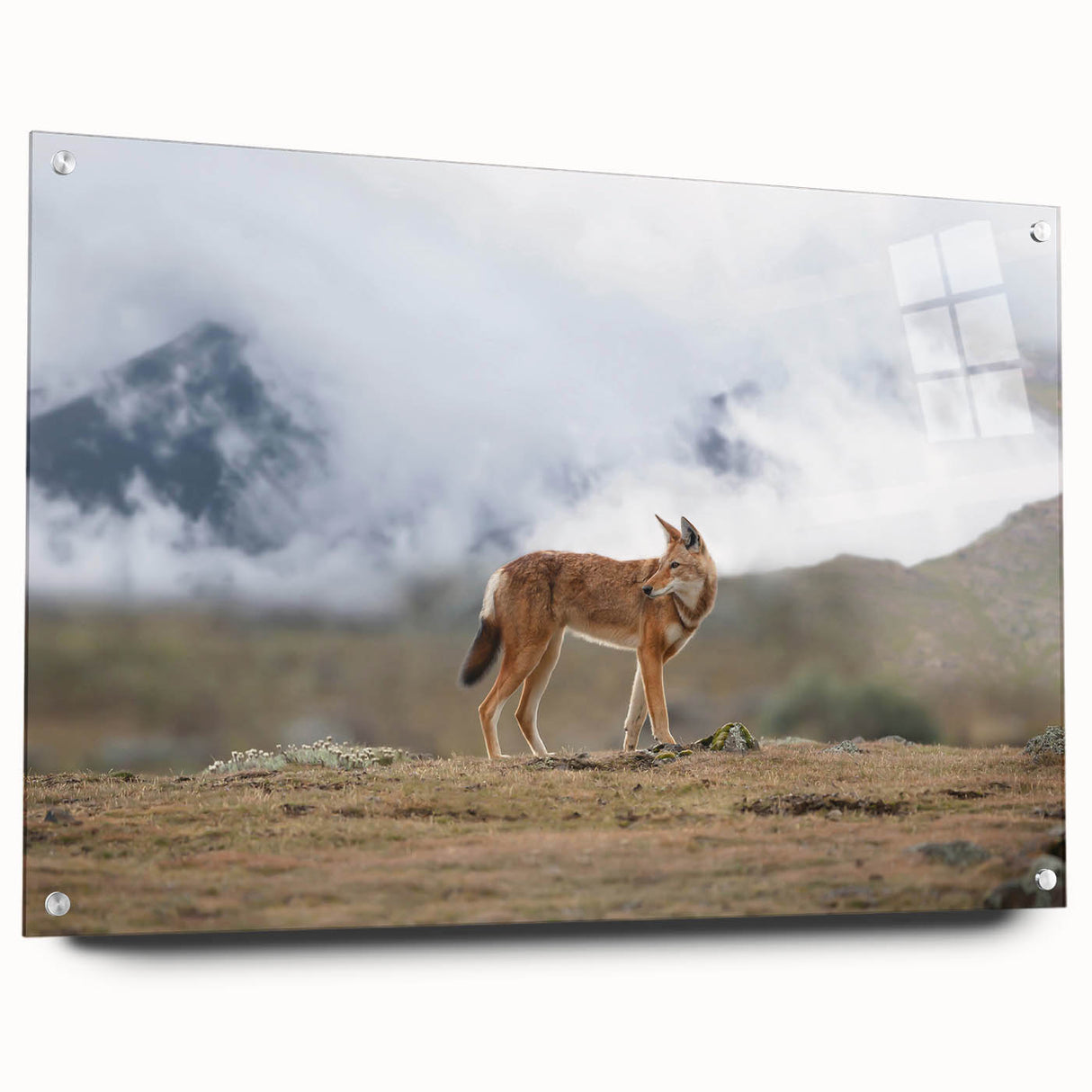 Acrylic print of an Ethiopian landscape with vivid green and earth tones, suitable for bedroom or dining room decor.