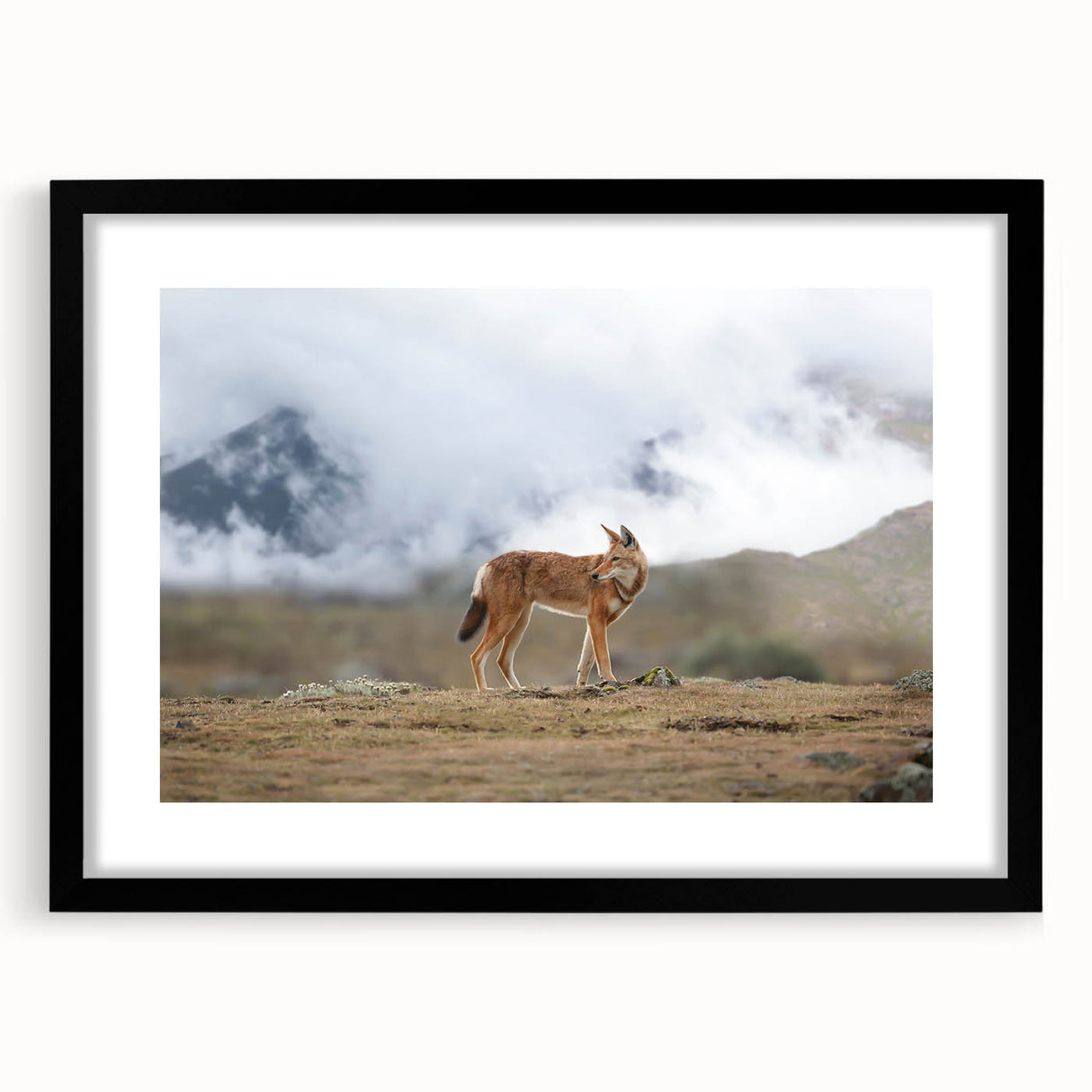 Extra large framed abstract art print depicting colorful, textured Ethiopian scenery, ideal for living room decor.