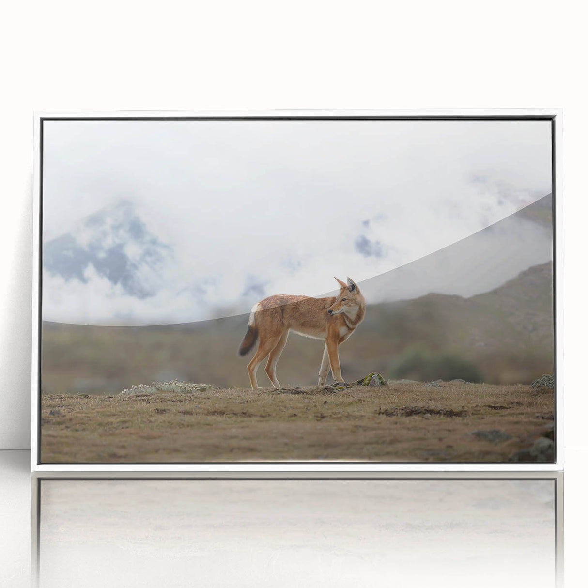 Large art print of an Ethiopian landscape in muted earth tones on framed acrylic, suited for modern nursery decor.