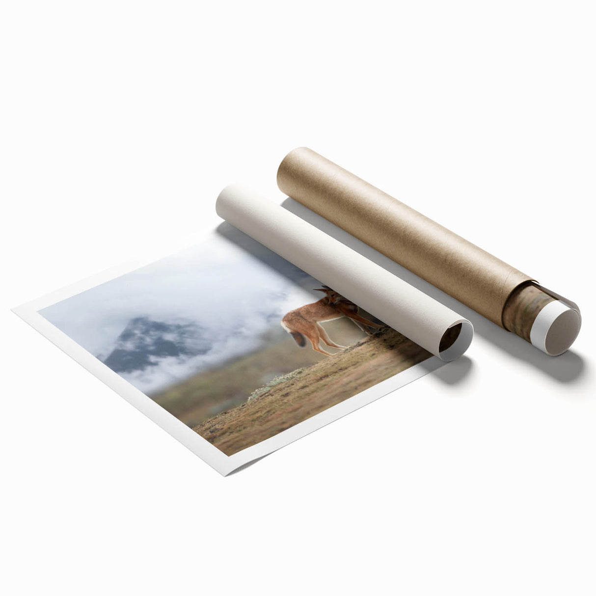 Extra large rolled print of an Ethiopian landscape featuring floral elements in muted earth tones.