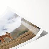 Extra large wall art featuring line art flowers in muted earth tones on a rolled canvas.