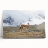 Black and white stretched canvas featuring an Ethiopian landscape, ideal for kitchen wall art or bedroom ambiance.