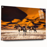 Acrylic print of a Namibian landscape in muted earth tones, suitable for bedroom or dining room decor.
