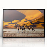 Large abstract wall art depicting a Namibian landscape in muted earth tones on framed acrylic.