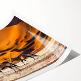 Extra large rolled print of a serene Namibian landscape with soft pastel tones, ideal for classy bathroom wall art.