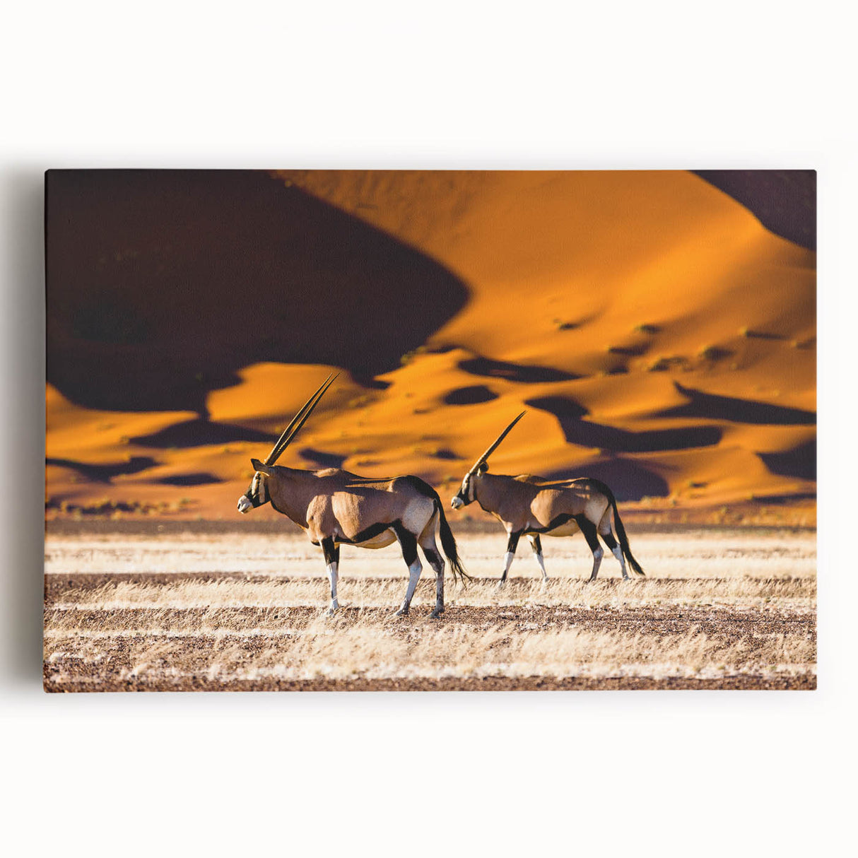 Black and white photograph of Namibian landscape on large stretched canvas, suitable as kitchen wall art.