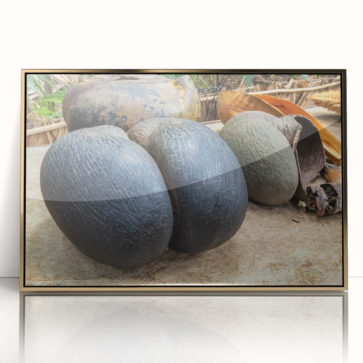 Acrylic print of Seychelles scenery in mid-century modernist style, featuring gold frame, ideal for modern art wall decor.