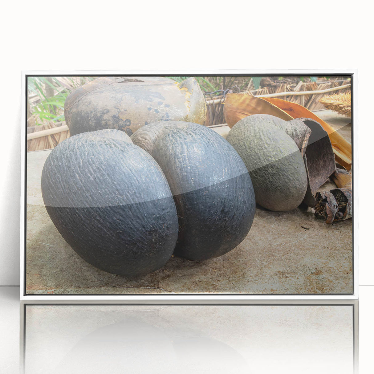 Acrylic print of a serene Seychelles beach scene in soft blue and white tones, framed in white.