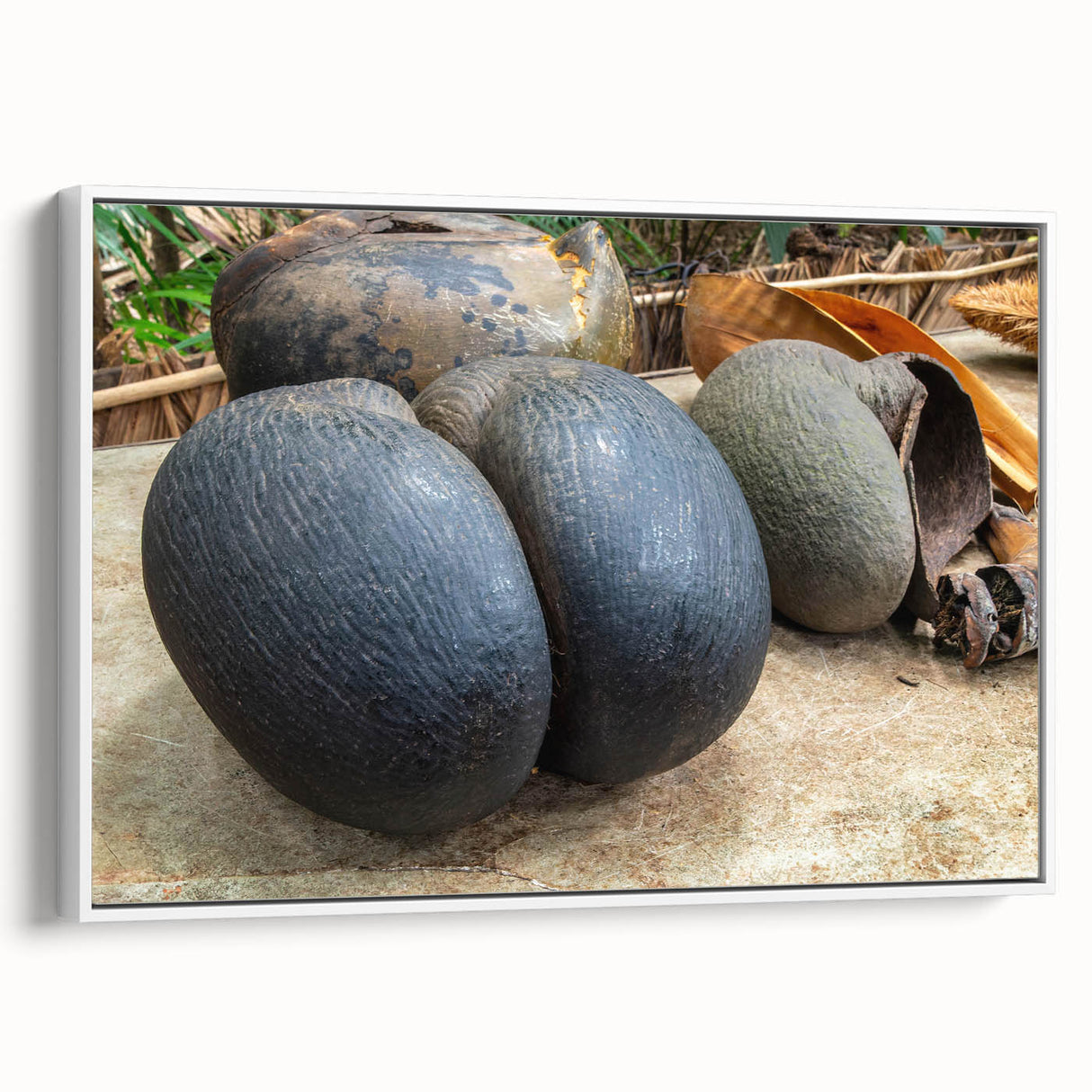 Vintage poster art of Seychelles scenery on framed canvas with vibrant colors, ideal for living room decor.