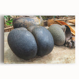 Black and white photo of Seychelles scenery on large stretched canvas, ideal for kitchen wall art or bedroom.