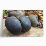 Black and white photograph of Seychelles scenery on stretched canvas, ideal for kitchen art.