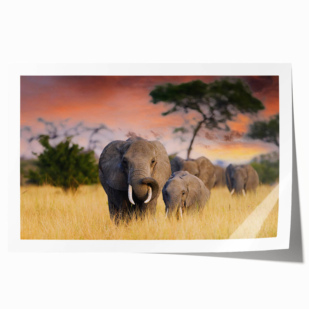 Extra large rolled print of a Tanzanian landscape with floral elements in earth tones, ideal for dining room art wall.