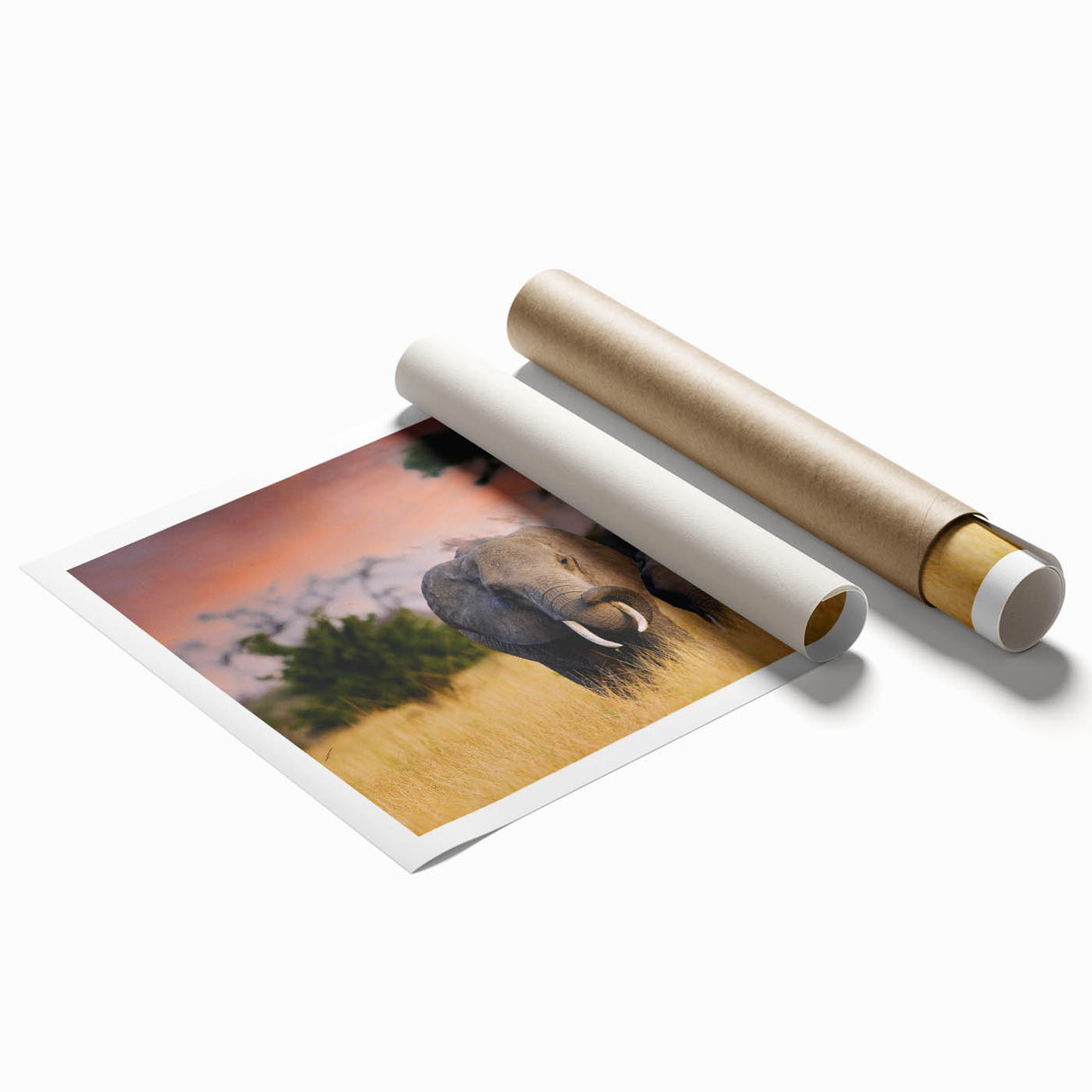 Rolled canvas print featuring a serene Tanzanian landscape with muted earth tones, ideal for large living room wall art.