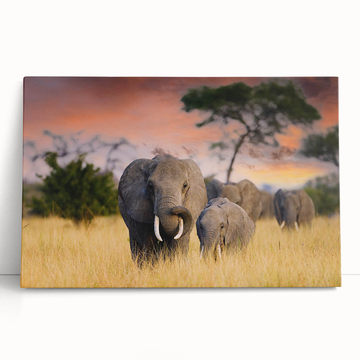 Black and white stretched canvas of an African savannah scene, ideal for kitchen wall art or bedroom ambiance.