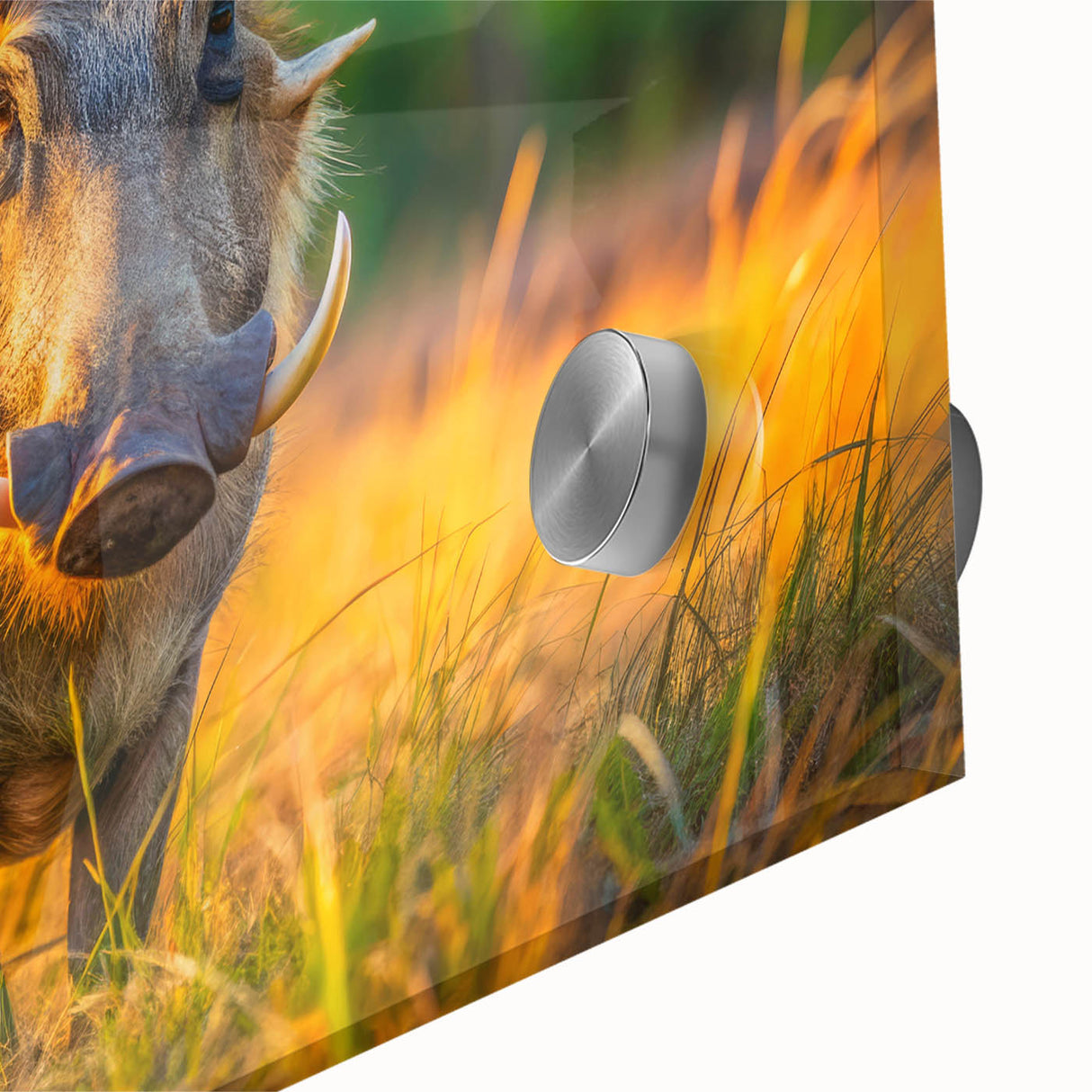 Large abstract wall art depicting the African scenery in Zambia on acrylic glass, in muted earth tones.