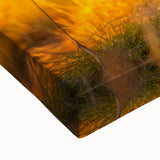 Large art of a black and white Zambian landscape on stretched canvas, ideal for bedroom wall decor.