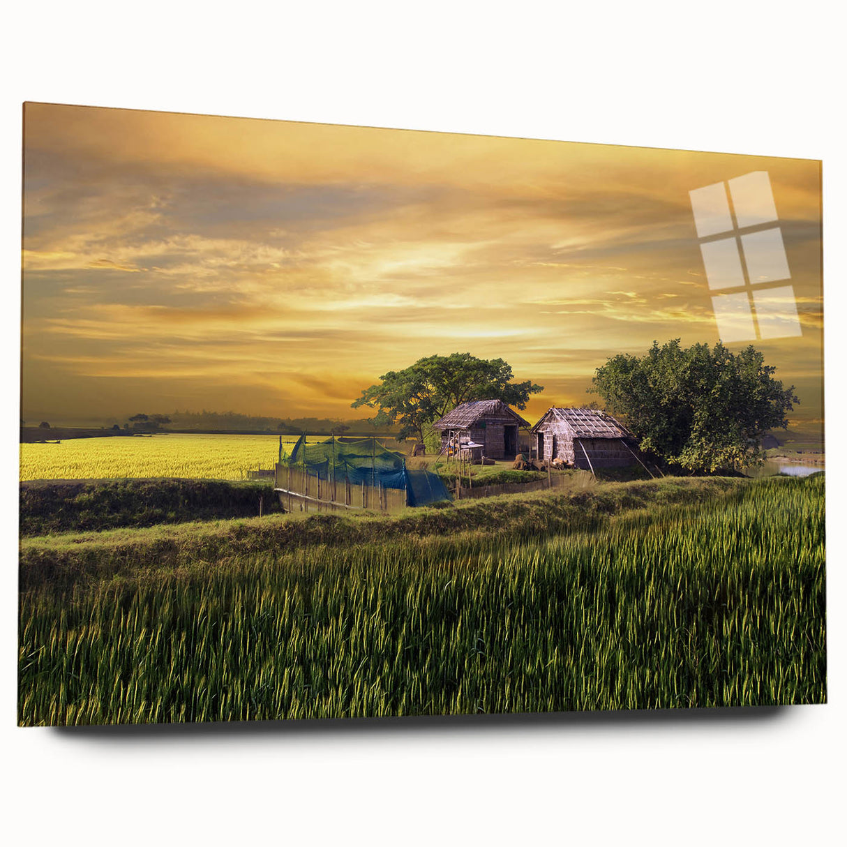 Large abstract wall art featuring a vibrant scene of Bangladesh on acrylic glass, ideal for bedroom or dining room decor.