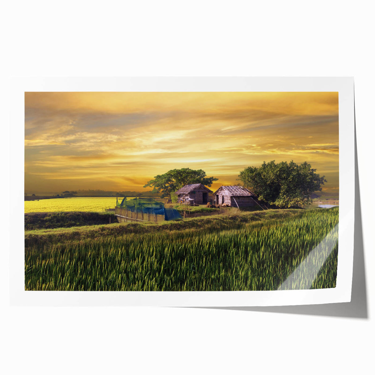 Rolled canvas print of a serene Bangladesh landscape with lush greenery and floral elements, ideal for art wall dining room.