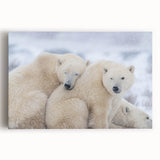 Black and white stretched canvas of a serene Manitoba, Canada scenery, ideal for kitchen wall art.