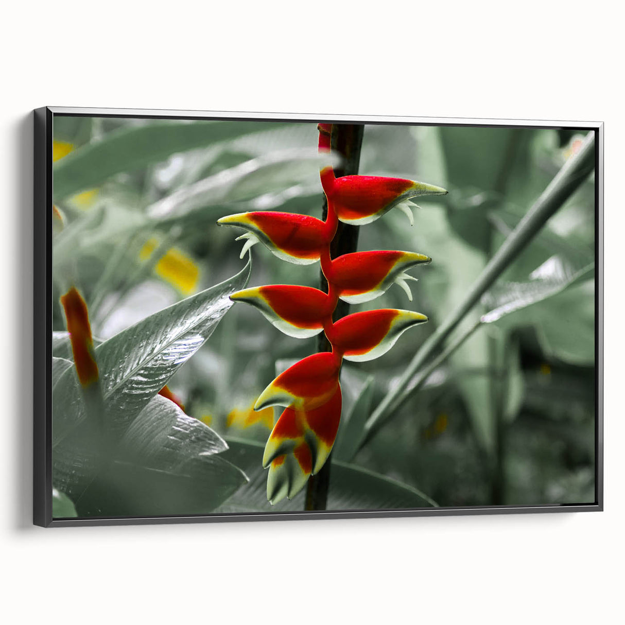 Black and white landscape art painting of Caribbean Martinique on framed canvas, ideal for bedroom wall art.