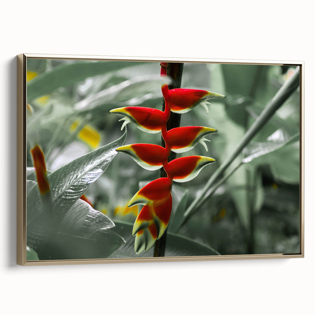 Framed canvas wall art of a vintage-style Caribbean landscape with lush greenery and ocean in muted gold and black tones.