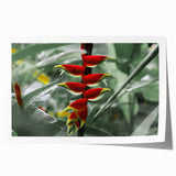 Extra large rolled print of Martinique scenery with vibrant green and blue tones, ideal for art wall dining room.