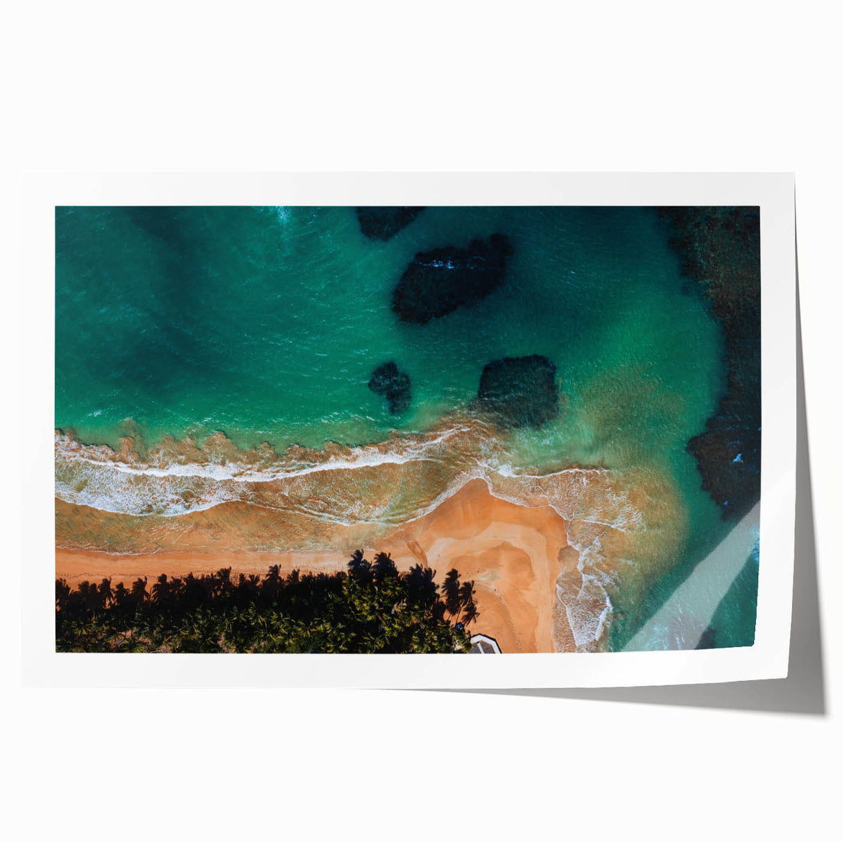 Extra large rolled print of a Puerto Rican Caribbean scenery with vibrant floral elements, ideal for art wall dining room.
