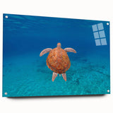 Acrylic print of the Caribbean Virgin Islands in vibrant blue and green tones, suitable for bedroom or dining room decor.
