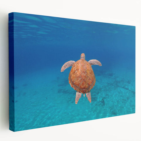 Stretched canvas of Caribbean Virgin Islands scenery in vivid blue and green tones, ideal for kitchen wall art.