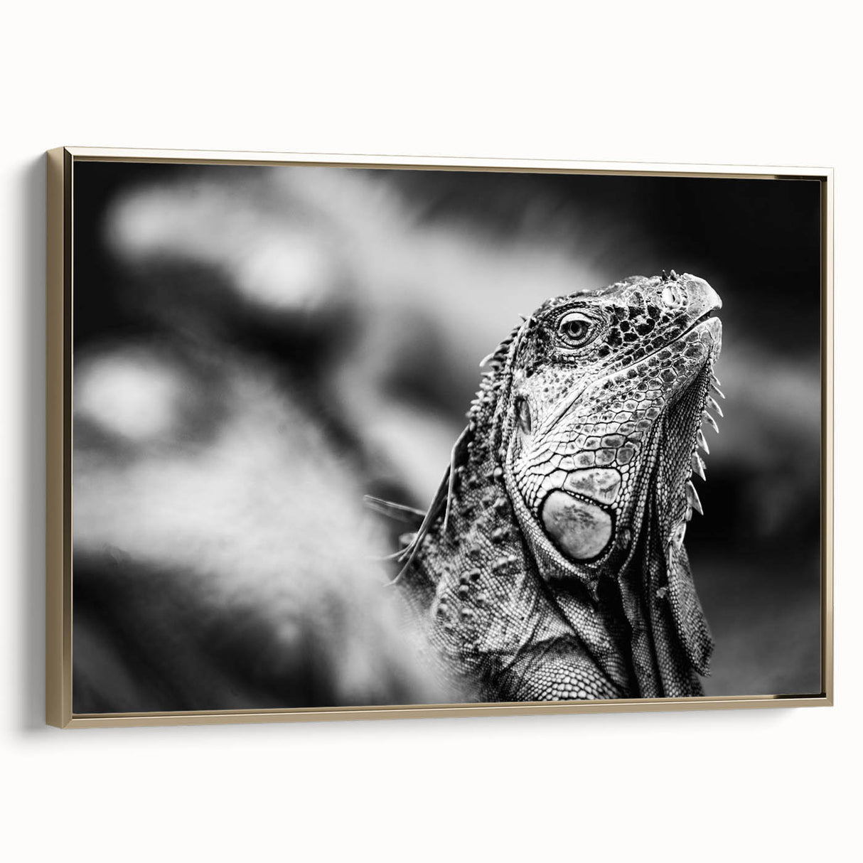 Framed canvas featuring a vintage-style landscape painting of a Costa Rican scenery in black and gold tones.
