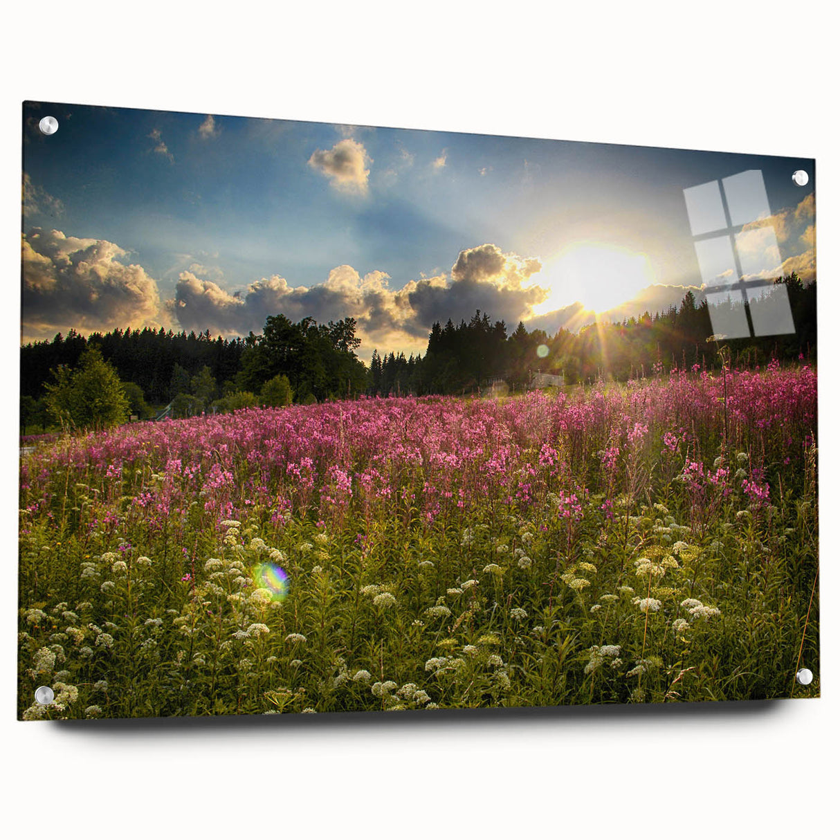 Acrylic glass print of a Czech Republic scenery in muted earth tones, suitable for bedroom or dining room decor.