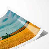 Extra large wall art featuring line art flowers in soft pastel shades on a rolled print, ideal for large living room decor.