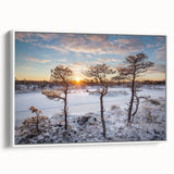 Vintage poster art of a scenic Estonian landscape on a large framed canvas.