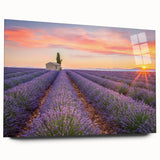 Acrylic print of a Provence scenery in muted earth tones, ideal for bedroom or dining room art.