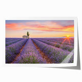 Extra large rolled print of a Provence landscape with lavender fields and a farmhouse, in soft purple and green tones.