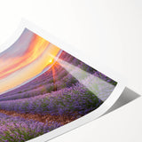 Extra large wall art featuring line art flowers in muted earth tones on a rolled canvas.