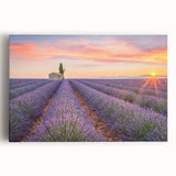 Black and white stretched canvas of a Provence landscape, ideal for kitchen wall art or bedroom ambiance.
