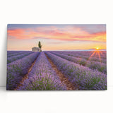 Black and white photography of Provence scenery on large stretched canvas, ideal for kitchen wall art.