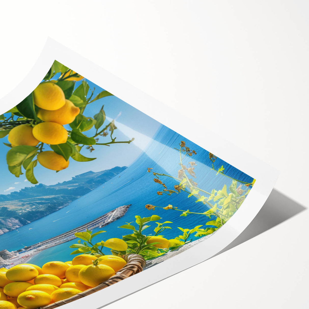 Extra large wall art featuring a line art depiction of flowers.