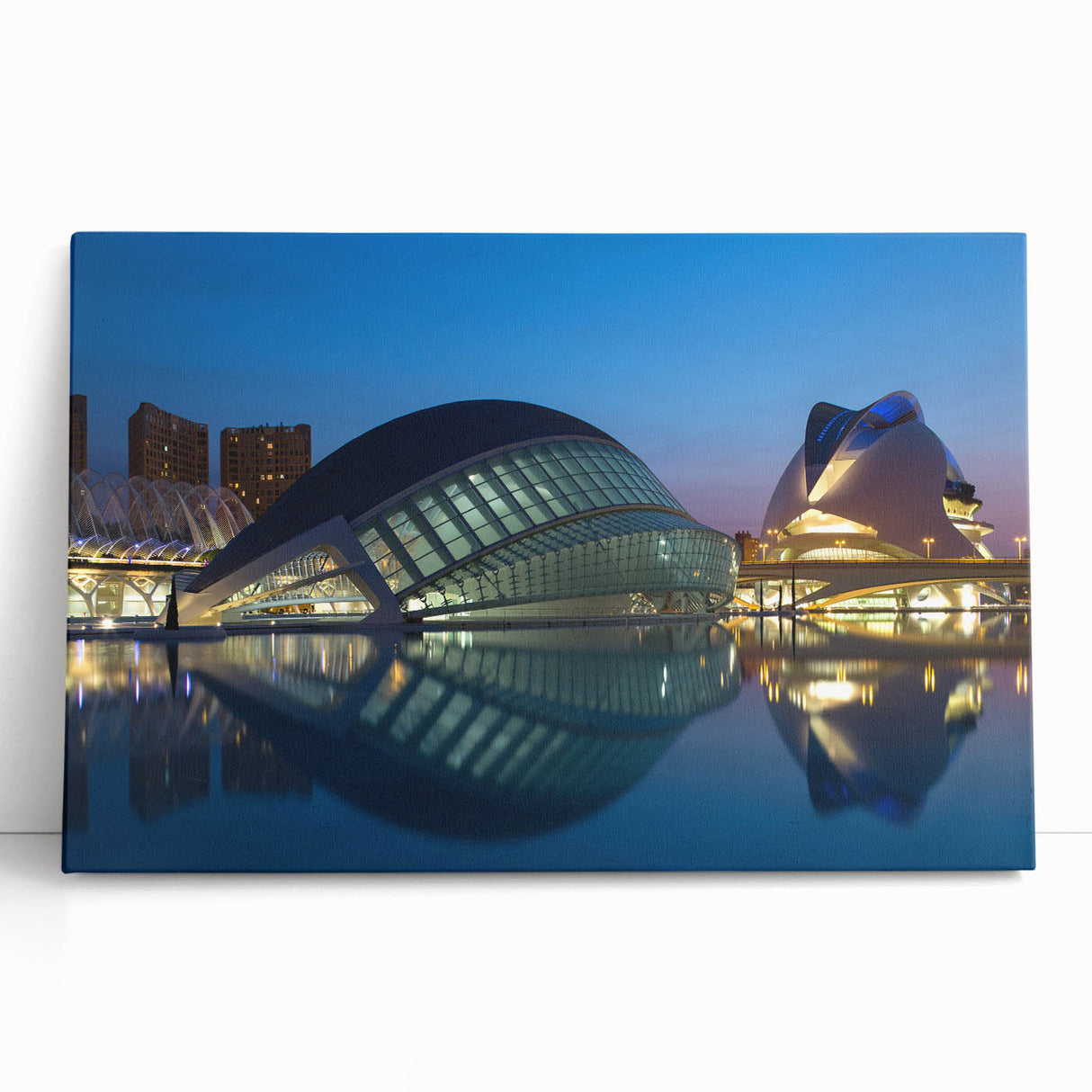 Black and white stretched canvas of Valencia scenery, ideal for kitchen wall art or bedroom ambiance.