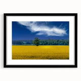 Extra large abstract art print of vibrant, textured scenery with blues and greens, framed in black.