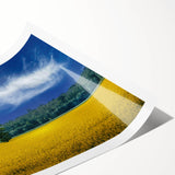 Extra large wall art featuring line art flowers in black on white background, ideal for large living room decor.