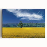 Black and white large art print of a European cityscape on stretched canvas, suitable for kitchen wall art.