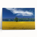 Black and white photo of a European cityscape on stretched canvas, ideal for kitchen wall art or bedroom decor.