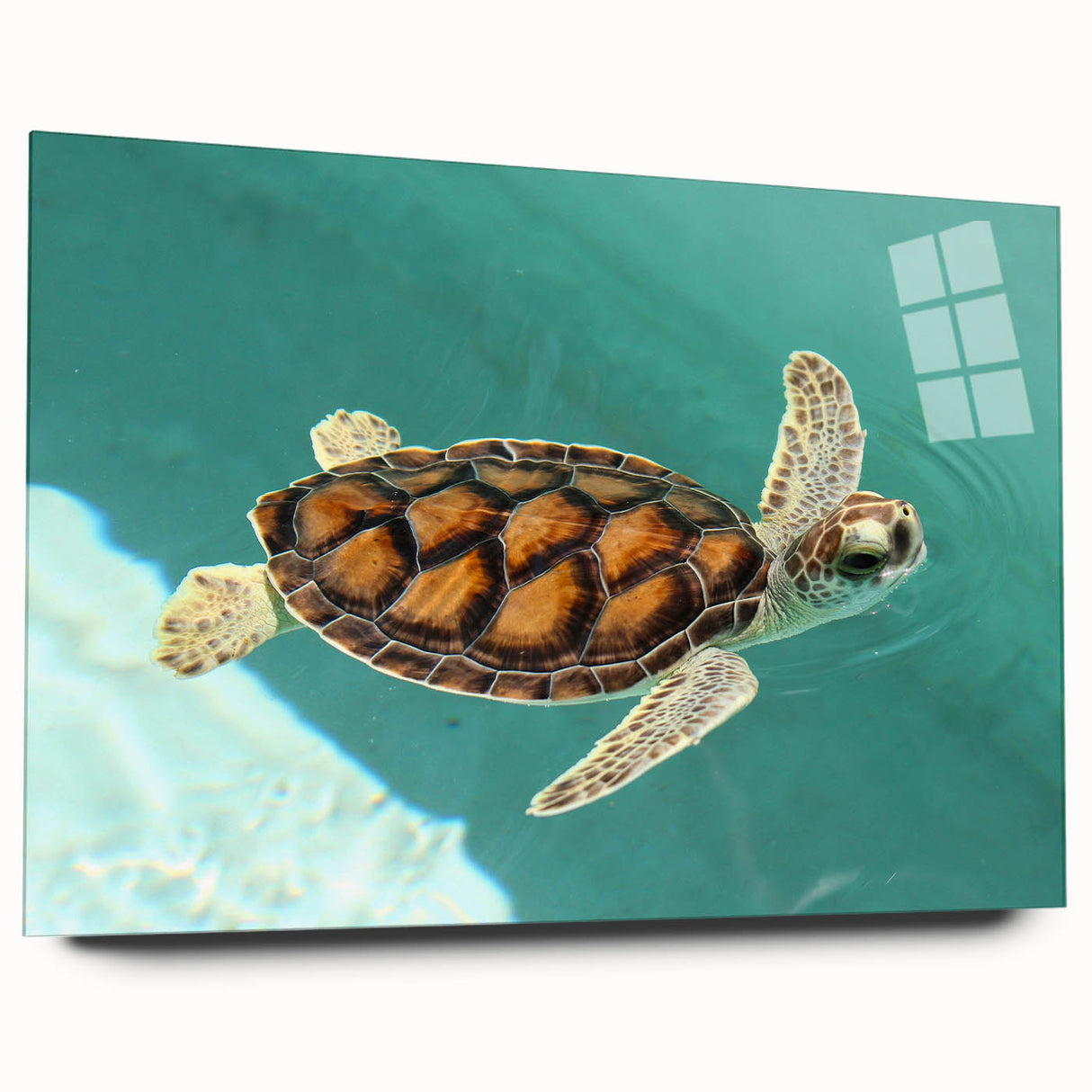 Large abstract wall art depicting a serene Quintana Roo scenery in muted blue and green tones on acrylic glass.