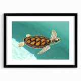 Colorful abstract art print of Quintana Roo scenery in a black frame with mat, ideal for living room decor.