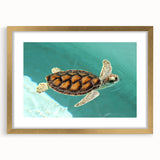 Extra large abstract art print of Quintana Roo scenery in muted earth tones on a textured canvas, framed in gold.