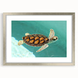 Textured abstract art print depicting a serene Quintana Roo landscape in muted earth tones on a framed silver mat.