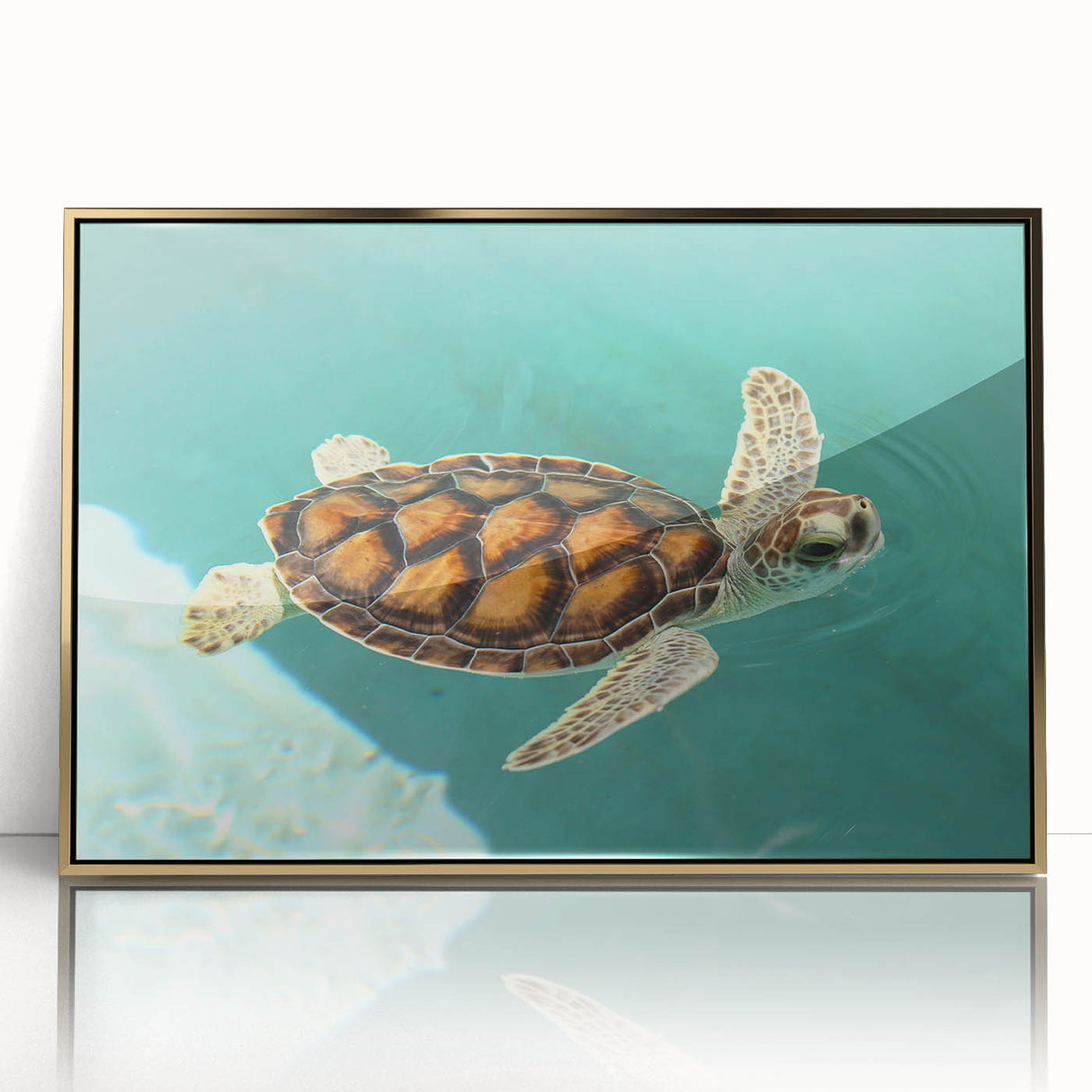 Mid-century modernist art of Quintana Roo scenery, in gold frame, acrylic print, suitable for nursery wall art.