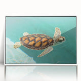 Art deco poster of Quintana Roo scenery with vibrant tropical colors on a framed acrylic, ideal for modern art wall decor.